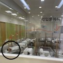 봄빛약국 | 40대 노산 셋째 출산 후 산후조리, 봄빛산후조리원 1관 후기