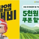 보성핸드폰 이미지