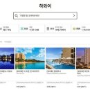 하와이 빅아일랜드 신혼여행 48시간 렌트 투어 코스 후기