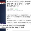 서초김밥 - 세종특별자치시 다정중앙로 45 | 서초김밥