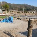 김재근농장 이미지