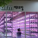 동향농장 이미지