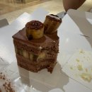 케이크맛집1등 을지로 '쇼토' 롯데백화점본점 내돈내산 후기
