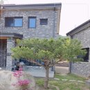 용문 애견 이미지