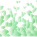 퀸즈헤나 이미지