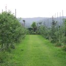 오토농장 이미지