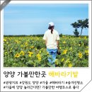 선사유적로 이미지