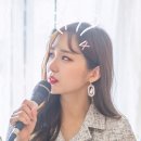 도도한댕댕 Daum카페