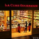 밝은내과의원 네이버블로그