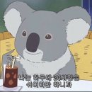 2025년 3월 근황