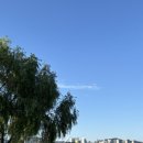 왕왕멍멍 이미지