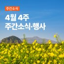 윤철's 당구클럽 | 4월 4주 주간소식·행사_새연쇼, 장애인 도민체전 등