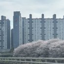 사적인 제주 | 학리방파제 장어 / 외딴섬 / 삼천포 제주 오션비스타 차량 선적 후기