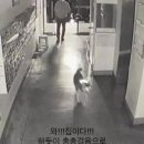 베스트 드림마트 이미지