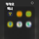 삼미리 펫 모범택시 | 반려동물 택시 이용 카카오 펫택시 후기 ft. 노견 이동 수단