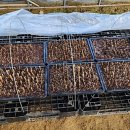 강선목장 이미지