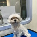 Mong's(몽'스) 이미지