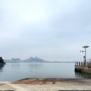 도선장횟집 | ꔚ 목포 압해도 도선장횟집 │ 내돈내산 목포근교 현지인 맛집 낙지초무침