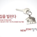 가야스테이(STAY) 네이버블로그