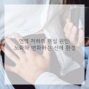 튼튼한하루