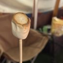 주식회사 한강게임스튜디오 | 마포 | 망원 촬영 스튜디오, 애견동반 가능한 파티룸. 루프탑 바베큐 불멍까지! 공간대여 망원56 솔직후기