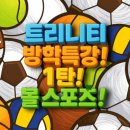 트리니티 태권도 이미지