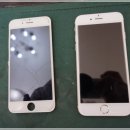 이리옴프라자 이미지