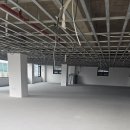 개림프라자 이미지