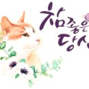감천1동-5 네이버블로그