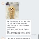 멍블리스 이미지