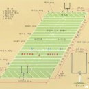 안녕하십니까 청소년교육상담학과 16학번 안소연입니다. (6주차 과제) 이미지