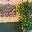 서초중앙로33길 11 이미지