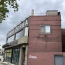 조르바 | 경주 황리단길 왕릉뷰 카페 조르바 ZORBA 솔직후기