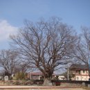 영주읍내리석불입상 이미지