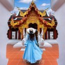 ㈜두바이항공투어 이미지