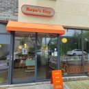 빵하루 | 울산 비건빵 맛집 라파의 하루 (또간집 후기)