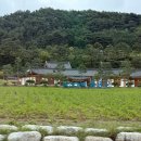 신촌당구장 | 청송 여행 꿀팁 :: 소노벨 룸컨디션부터 솔샘온천, 청송 맛집 수달래, 청하누까지
