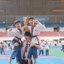 타이탄 새천년태권도 이미지