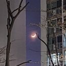 오늘 임젼은 무엇을 했는가 :3