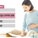 태영유리