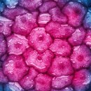 gc-camera-043 이미지