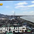 명란김밥 이미지