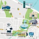 다모아레포츠