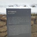 숭의전 | [연천] 반려견 산책코스 추천- 역사 덕후라면 숭의전 방문후기