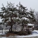 산장농원 이미지