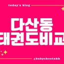 국가대표 영재 태권스쿨 | 다산하늘빛유치원에서 가까운 다산 국가대표 용인대 SNU 태권도 위치 비교 선택