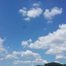 두리몽실