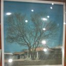 신동면 증3리 경로당 | 춘천 김유정문학촌 탐방