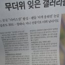 바비보약