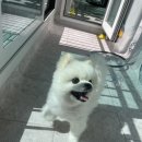 오씨오씨 이미지
